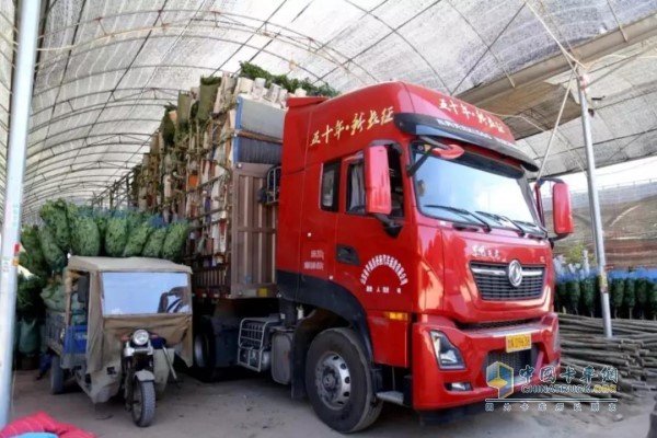 車輛裝好鮮花綠植踏上返程之路，車貨總重仍為49噸