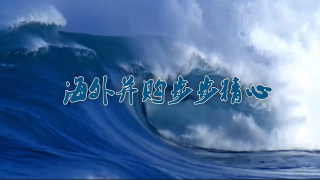 濰柴海外并購(gòu)步步精心